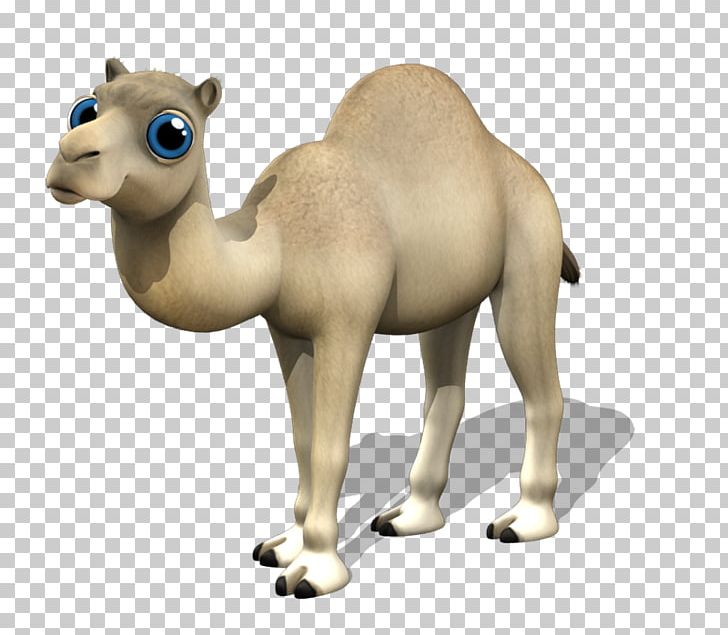 Dromedary Camelids Animation PNG, Clipart, Animal, Animal Figure, Animation, Arabian Camel, Badge Free PNG Download