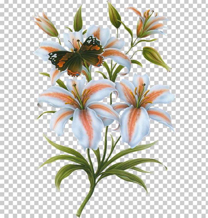 Lilium Bulbiferum Flower Bokmxe4rke PNG, Clipart, Bokmxe4rke, Butterflies, Butterfly Group, Butterfly Wings, Designer Free PNG Download
