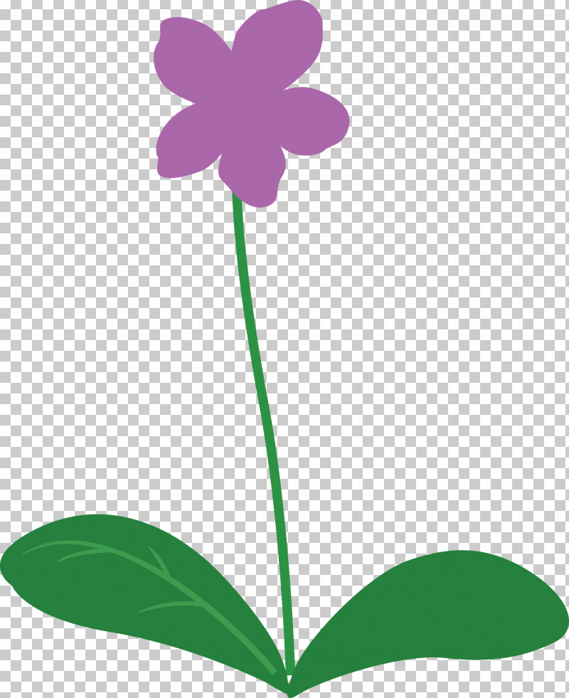 Violet Flower PNG, Clipart, Biology, Flora, Flower, Green, Herbaceous Plant Free PNG Download