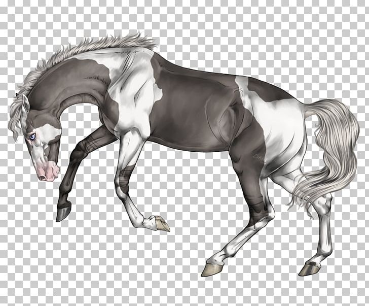 Mane Stallion Mustang Halter Mare PNG, Clipart, Black And White, Bridle, Colt, Drawing, English Riding Free PNG Download
