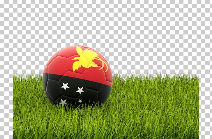 Netherlands National Football Team 2010 FIFA World Cup The UEFA European Football Championship England National Football Team PNG, Clipart, Ball, Computer Wallpaper, England National Football Team, Football, Football Pitch Free PNG Download
