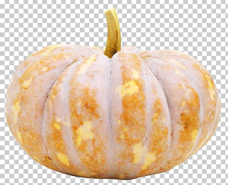 Pumpkin Seed Pumpkin Seed Cucurbita Pepo Vegetable PNG, Clipart, Android, Bok Choy, Calabaza, Capsicum, Chili Pepper Free PNG Download