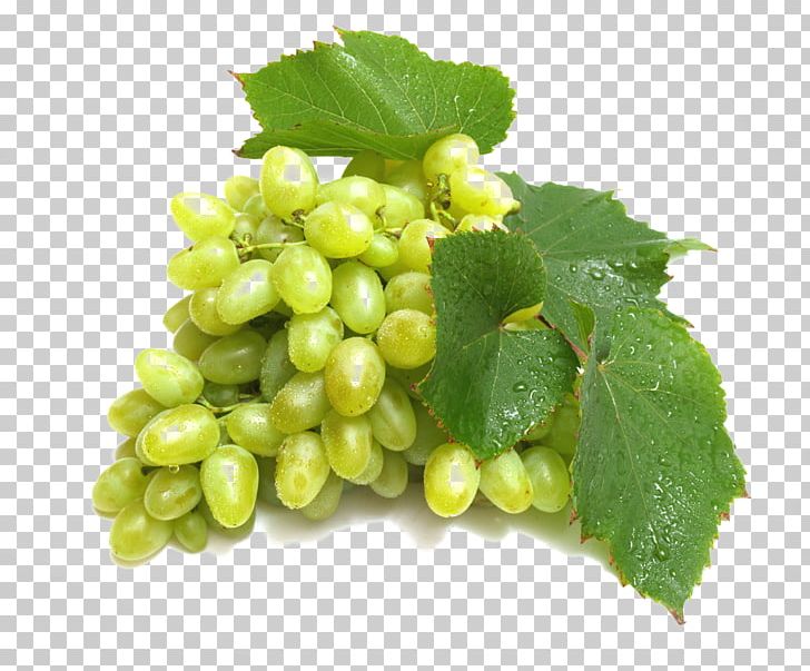 Red Wine Verjuice Grape Green PNG, Clipart, Antioxidant, Food, Fruit, Fruit Nut, Grape Free PNG Download