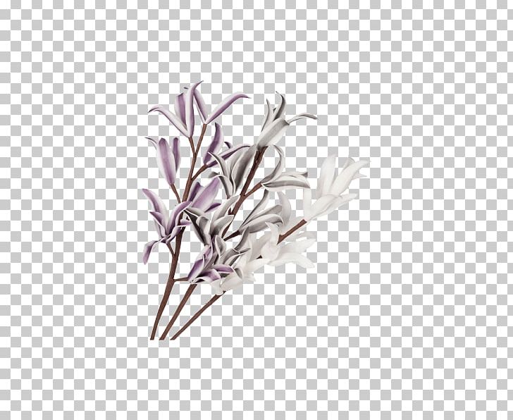 Twig Flower PNG, Clipart, Branch, Flower, Lavender, Lilac, Orchidea Free PNG Download