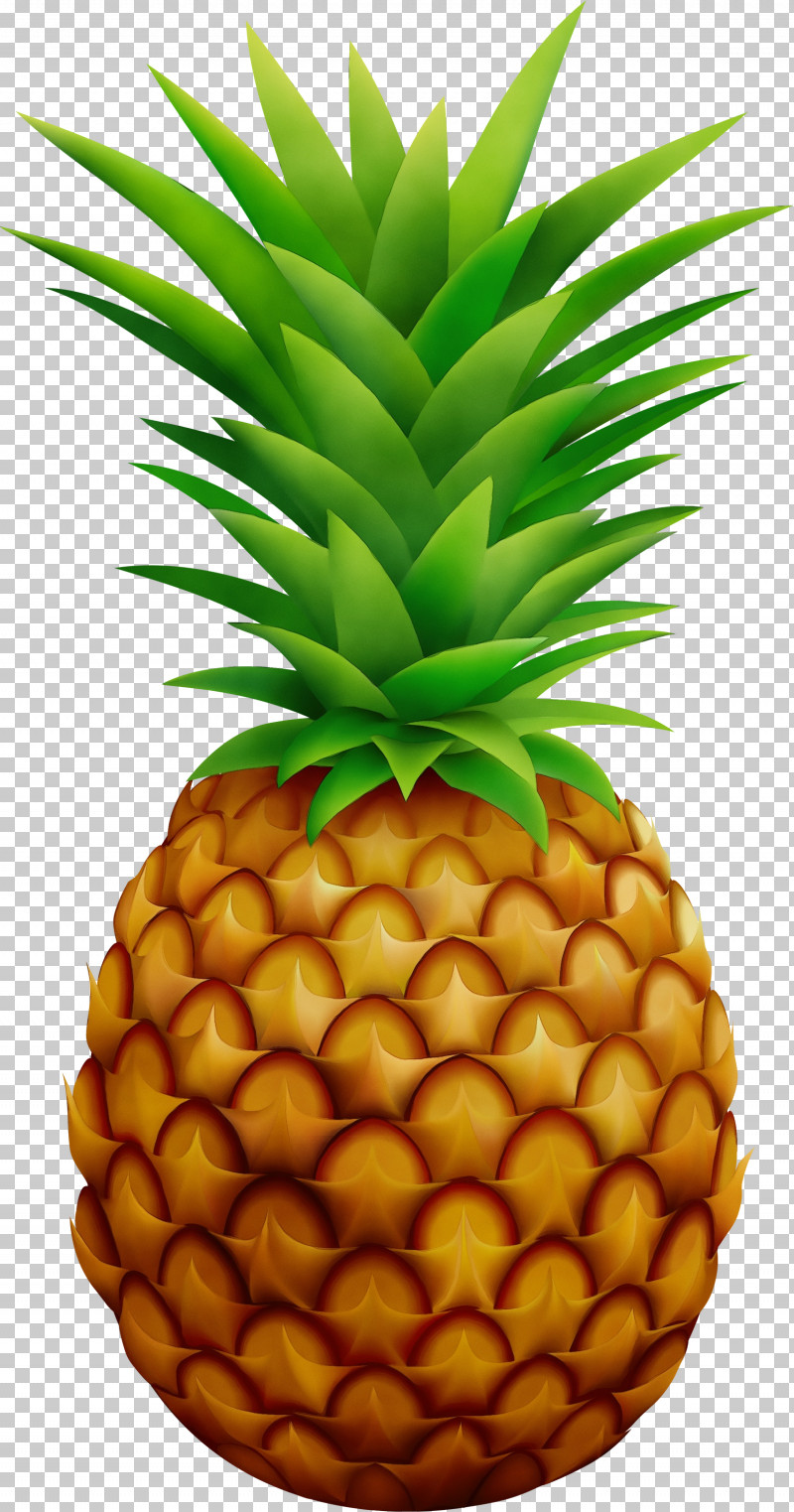Pineapple PNG, Clipart, Fruit, Juice, Logo, Paint, Pineapple Free PNG Download