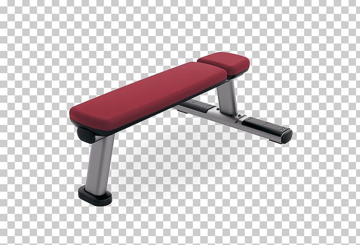 Bench Press Exercise Equipment Fitness Centre Dumbbell PNG, Clipart, Angle, Barbell, Bench, Bench Press, Biceps Curl Free PNG Download