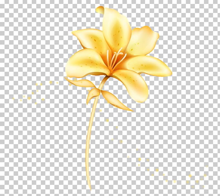 Flower Euclidean Lilium PNG, Clipart, Decorative Patterns, Download, Encapsulated Postscript, Euclidean Vector, Flower Free PNG Download