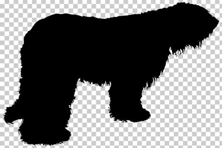 Miniature Schnauzer Affenpinscher Newfoundland Dog Puppy Dog Breed PNG, Clipart, Affenpinscher, Animals, Bear, Black, Black And White Free PNG Download