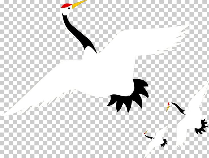 Red-crowned Crane Euclidean PNG, Clipart, Beak, Bird, Brand, Computer Wallpaper, Construction Crane Free PNG Download