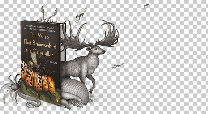 Reindeer Elk Antler Fauna PNG, Clipart, Antler, Cartoon, Deer, Elk, Fauna Free PNG Download