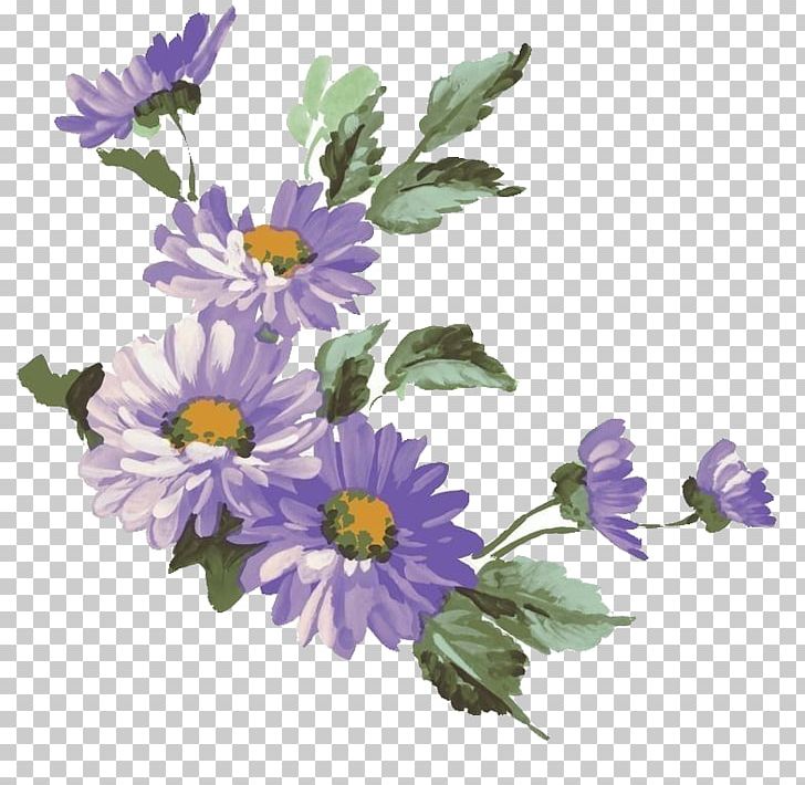 Chrysanthemum Flower Purple Common Daisy Illustration PNG, Clipart, Annual Plant, Artificial Flower, Cdr, Chrysanthemum Chrysanthemum, Chrysanthemums Free PNG Download