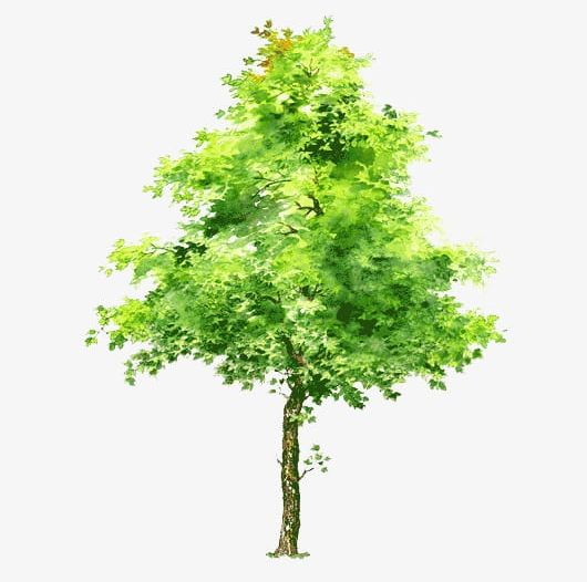 Trees Creative Green Trees Creatives PNG, Clipart, Creative Clipart, Creative Clipart, Creatives, Creatives, Drawing Clipart Free PNG Download