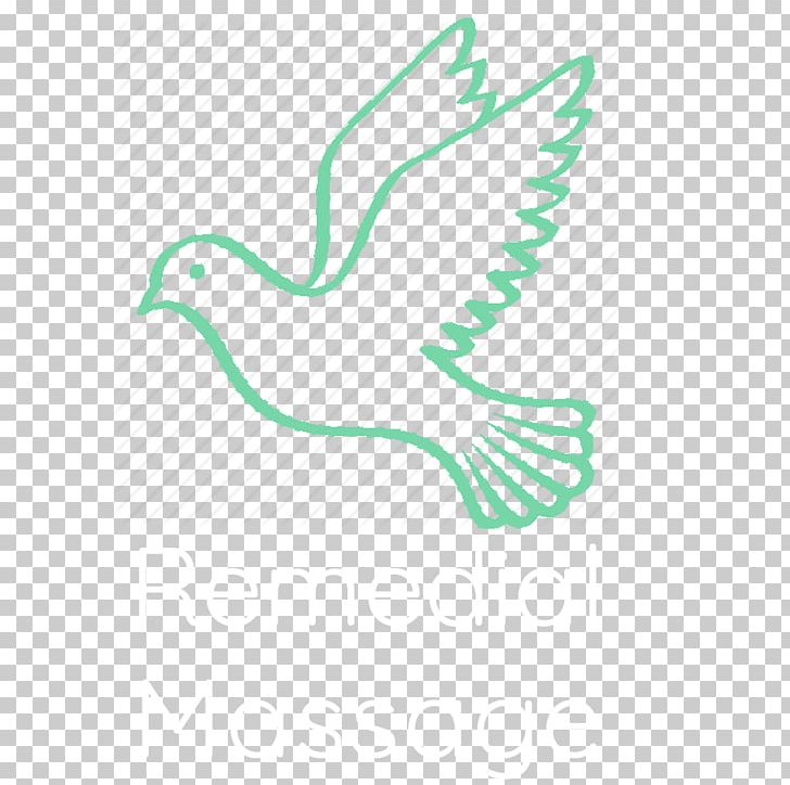 Columbidae Olive Branch Doves As Symbols Peace Symbols PNG, Clipart, Angle, Area, Beak, Bird, Columbidae Free PNG Download