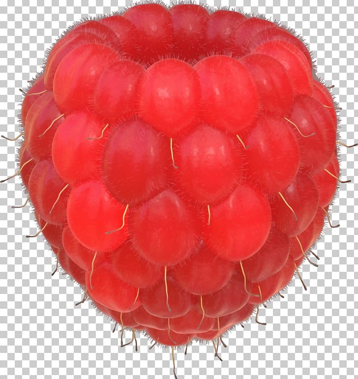 Raspberry PNG, Clipart, Berry, Cartoon, Copyright, Food, Fruit Free PNG Download