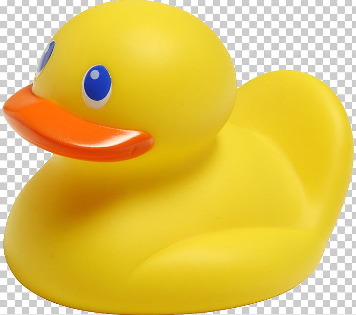 Rubber Duck PNG, Clipart, Rubber Duck Free PNG Download