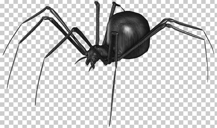 Southern Black Widow Spider PNG, Clipart, Arachnid, Arthropod, Black, Black And White, Black Spider Free PNG Download