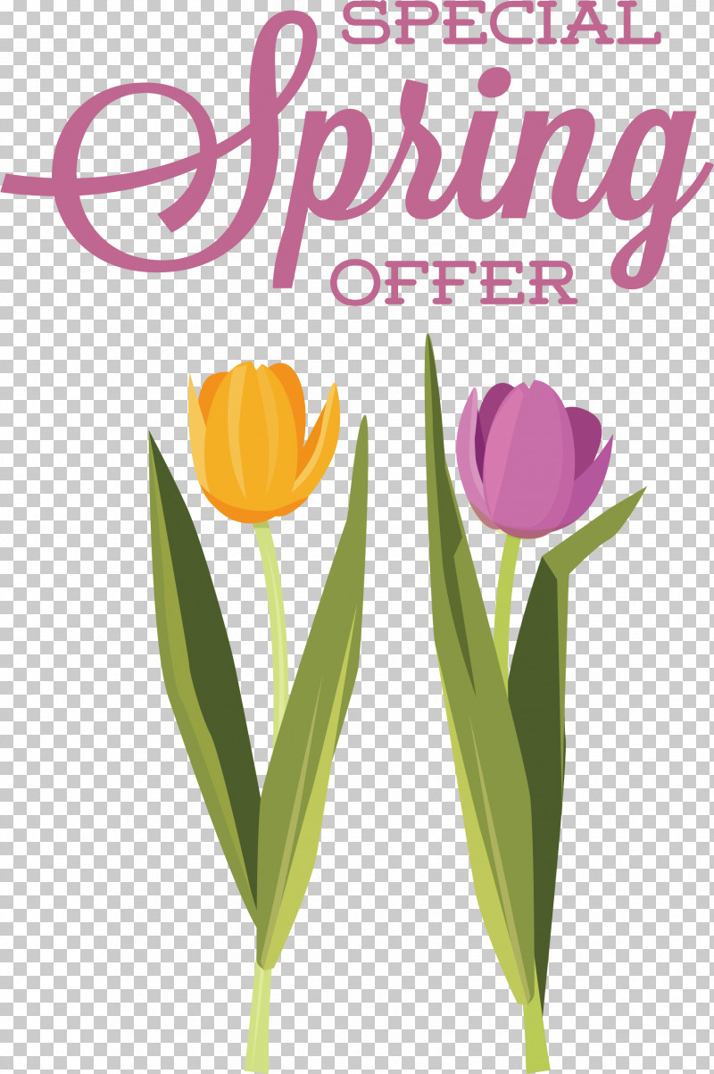 Plant Stem Cut Flowers Tulip Flower Petal PNG, Clipart, Biology, Box, Cut Flowers, Flower, Meter Free PNG Download