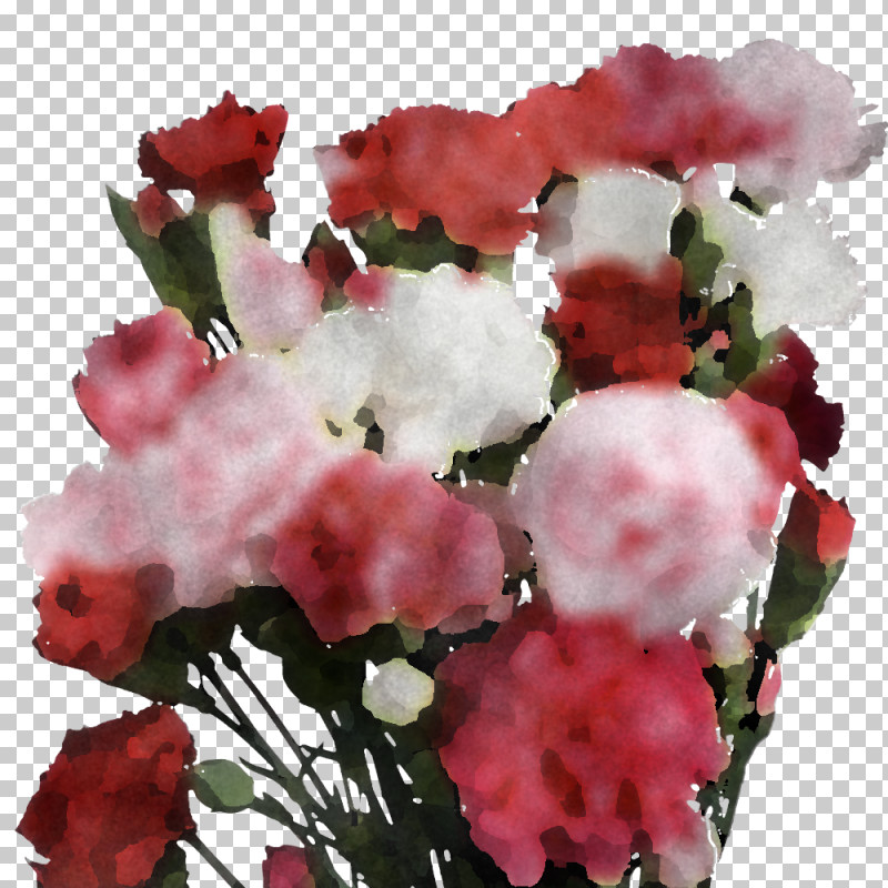 Floral Design PNG, Clipart, Annual Plant, Azalea, Begonia, Blossom, Carnation Free PNG Download