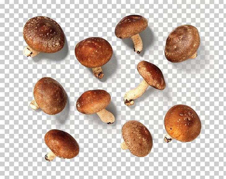 Edible Mushroom Fungus Vegetable Shiitake PNG, Clipart, Auglis, Brown, Eating, Edible Mushroom, Food Free PNG Download