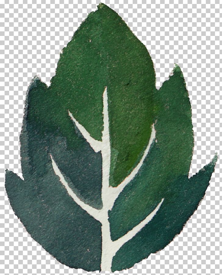 Leaf Watercolor Painting Green PNG, Clipart, Download, Drawing, Element, Encapsulated Postscript, Falling Free PNG Download