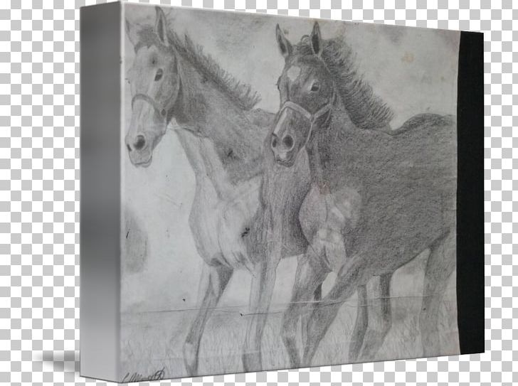 Mustang Stallion Drawing Monochrome Photography PNG, Clipart, Animal, Artwork, Black And White, Drawing, Fauna Free PNG Download