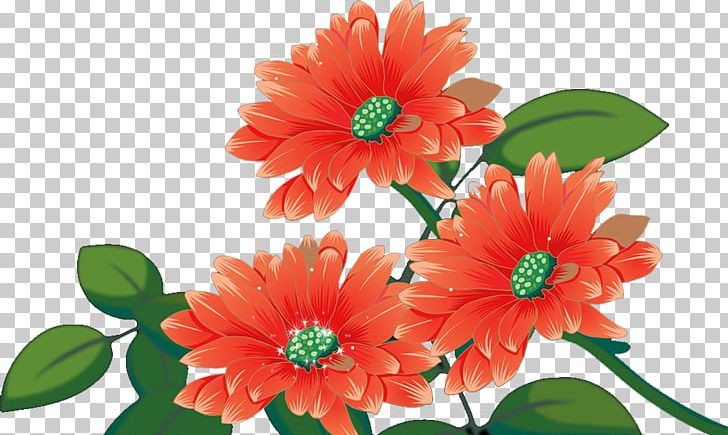 Chrysanthemum Transvaal Daisy Flower PNG, Clipart, Annual Plant, Chrysanthemum Chrysanthemum, Chrysanthemums, Dahlia, Daisy Family Free PNG Download