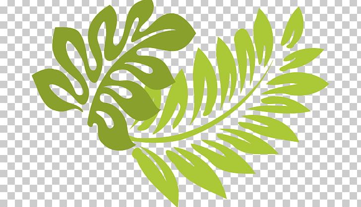 Hibiscus Laevis Hibiscus Schizopetalus Hawaiian Hibiscus Computer Icons PNG, Clipart, Black And White, Branch, Commodity, Computer Icons, Download Free PNG Download