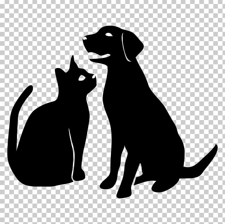 Pet Dog Cat Veterinarian Animal PNG, Clipart, Animal, Animal Hoarding, Animal Product, Animals, Black Free PNG Download
