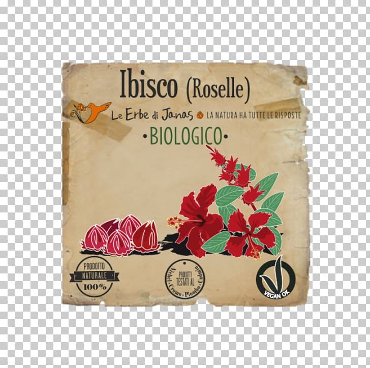 Roselle Shoeblackplant Herb Le Erbe Di Janas Srl Henna PNG, Clipart, Canities, Capelli, Flower, Henna, Herb Free PNG Download