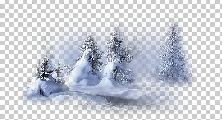 Landscape Winter Portable Network Graphics Snow PNG, Clipart, Blizzard, Cold, Computer Wallpaper, Conifer, Desktop Wallpaper Free PNG Download