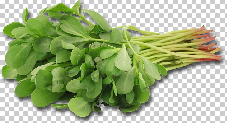 Mesclun Common Purslane Leaf Vegetable Herb PNG, Clipart, Broad Bean, Calorie, Commodity, Common Purslane, Eating Free PNG Download