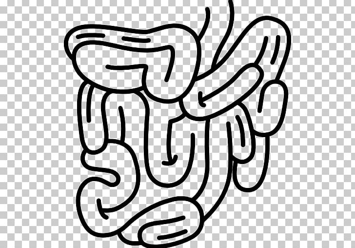 Small Intestine Gastrointestinal Tract Large Intestine Digestion PNG, Clipart, Art, Black, Black And White, Computer Icons, Digestion Free PNG Download