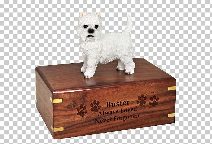 West Highland White Terrier Dog Breed Border Collie Companion Dog Poodle PNG, Clipart, Border Collie, Box, Breed, Carnivoran, Collie Free PNG Download