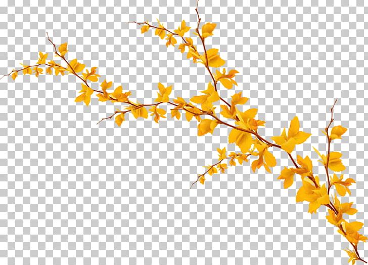 Yellow Orange PNG, Clipart, Art, Branch, Danish Design, Design, Desktop Wallpaper Free PNG Download