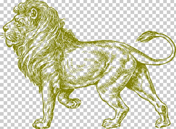 Lionhead Rabbit Drawing Sketch PNG, Clipart, Animal, Animals, Artwork, Big Cat, Big Cats Free PNG Download