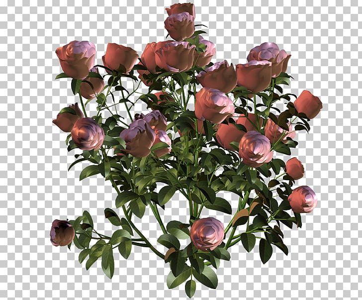 Flower Garden Roses Floral Design Photography PNG, Clipart, Blume, Cut Flowers, Floral Design, Flower, Flower Arranging Free PNG Download