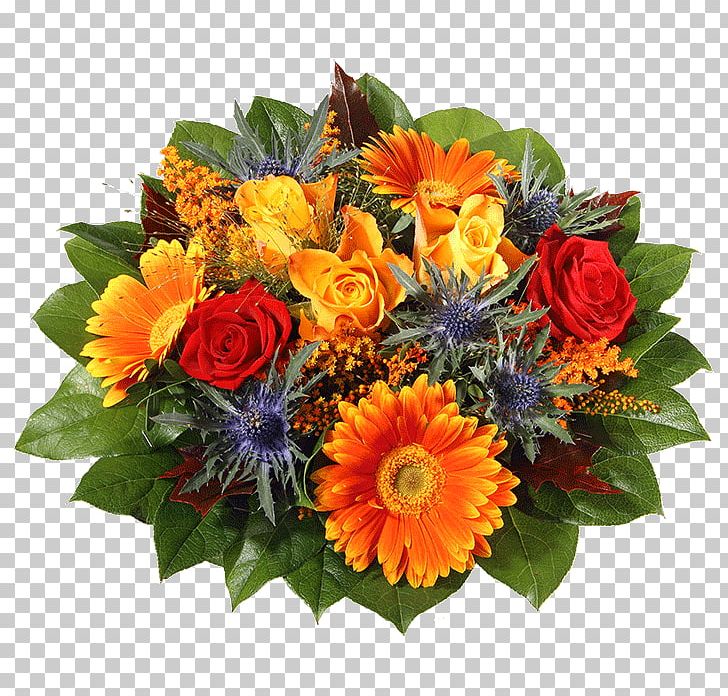 Transvaal Daisy Cut Flowers Flower Bouquet Blumenversand PNG, Clipart, Annual Plant, Blume, Blumenversand, Cut Flowers, Daisy Family Free PNG Download