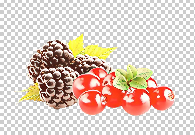 Berry Natural Foods Blackberry Fruit Food PNG, Clipart, Accessory Fruit, Berry, Blackberry, Currant, Flower Free PNG Download