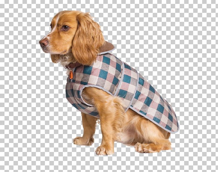 Sussex Spaniel Alpine Dachsbracke Alpine Spaniel Dog Breed Westphalian Dachsbracke PNG, Clipart, Alpine, Alpine Dachsbracke, American Cocker Spaniel, Animal, Animals Free PNG Download