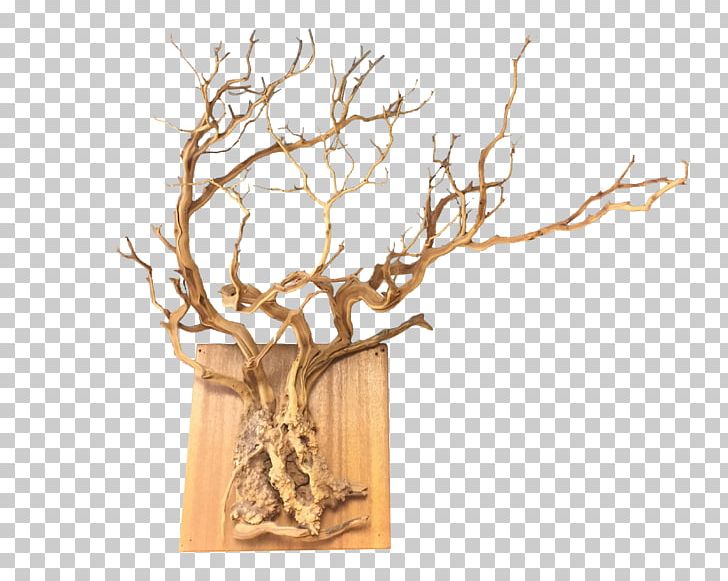 Twig Root Wall Wood Tree Chairish PNG, Clipart, Antler, Branch, Chairish, Driftwood, Flowerpot Free PNG Download