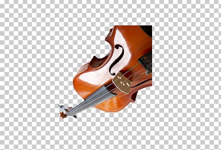 Violin Musical Note PNG, Clipart, Acoustic Electric Guitar, Cellist, Double Bass, Musical Instrument, Musical Instruments Free PNG Download