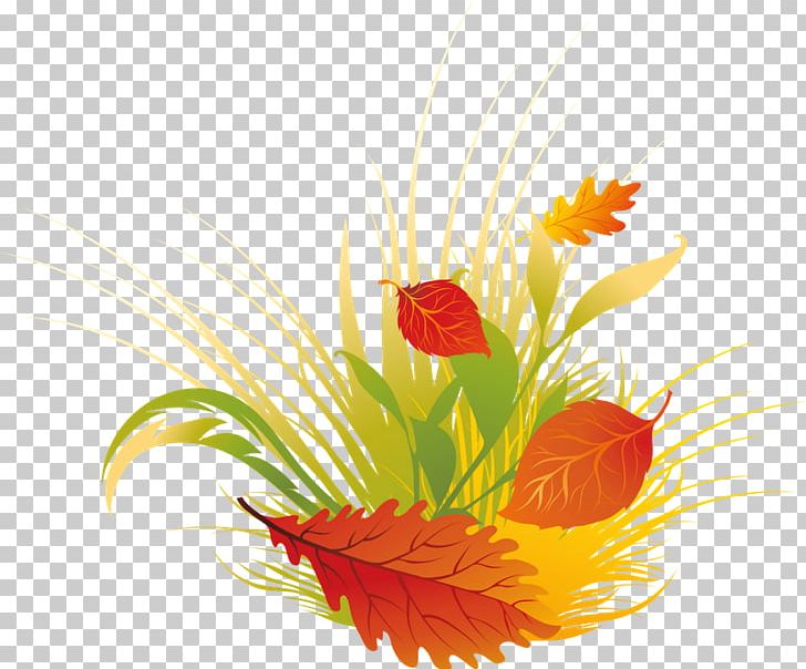 Autumn Leaf PNG, Clipart, Autumn, Autumn Leaf Color, Calendula, Can Stock Photo, Color Free PNG Download