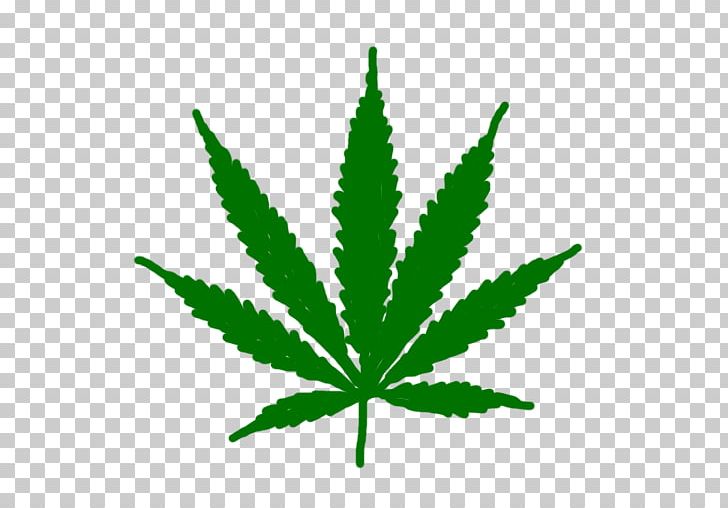 Cannabis Ruderalis Leaf Medical Cannabis PNG, Clipart, Bong, Cannabinoid, Cannabis, Cannabis Ruderalis, Cannabis Sativa Free PNG Download