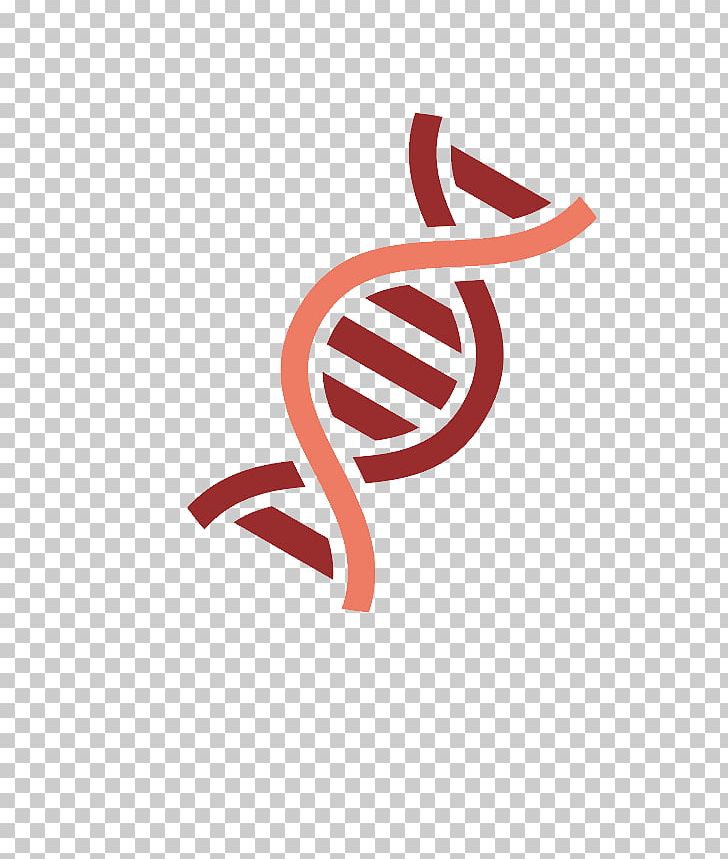 Gene DNA Nucleic Acid Double Helix PNG, Clipart, Artworks, Beaker, Brand, Chemistry, Dna Free PNG Download