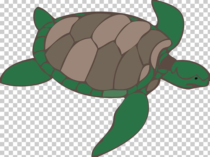 Green Sea Turtle PNG, Clipart, Animal, Animals, Download, Drawing, Fauna Free PNG Download