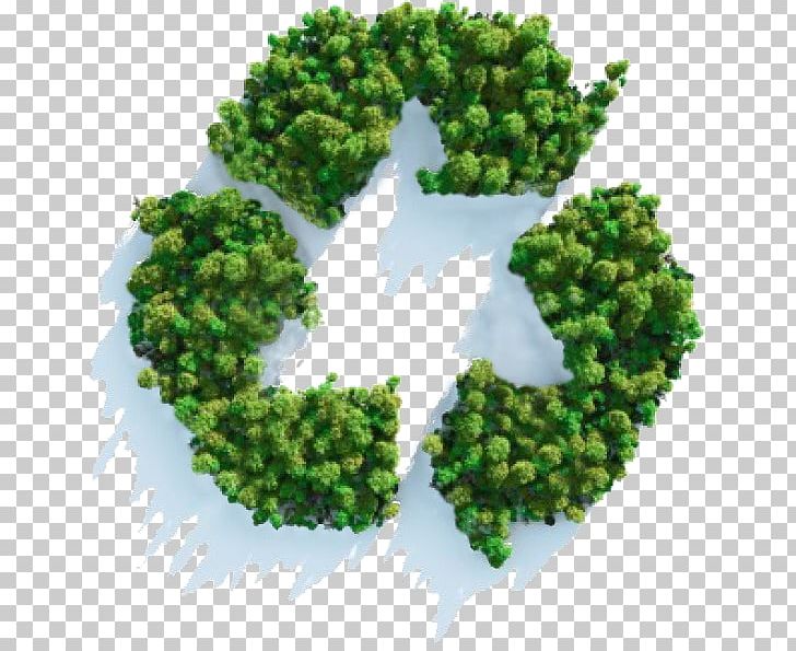 Sustainability Sustainable Development Sustainable Business Recycling PNG, Clipart, Business, Ecodesign, Economic Development, Environmentally Friendly, Grass Free PNG Download