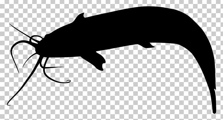 Catfish Silhouette PNG, Clipart, Animals, Bat, Black, Black And White, Catfish Free PNG Download