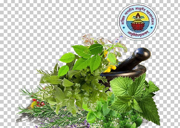 Herbalism Ayurveda Fines Herbes Pianta Aromatica PNG, Clipart, Ayurveda, Fertilisers, Fines Herbes, Grass, Herb Free PNG Download