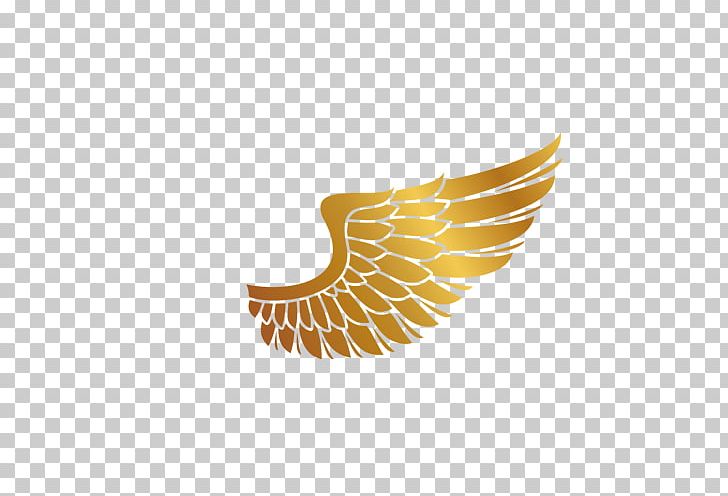 Wing PNG, Clipart, Angel, Angel Wing, Angel Wings, Anime Character ...