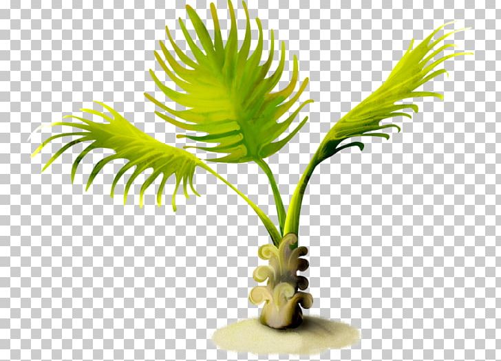Arecaceae Summer PNG, Clipart, Aquarium Decor, Arecaceae, Arecales, Flowerpot, Graphic Design Free PNG Download